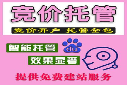 某SEM外包公司广告投放案例：精准触达目标用户
